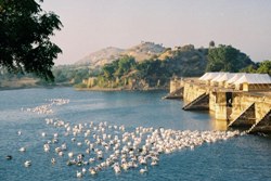 Chhatra Sagar, Nimaj Chhatra Sagar Nimaj