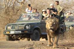 Gir Wildlife Sanctuary